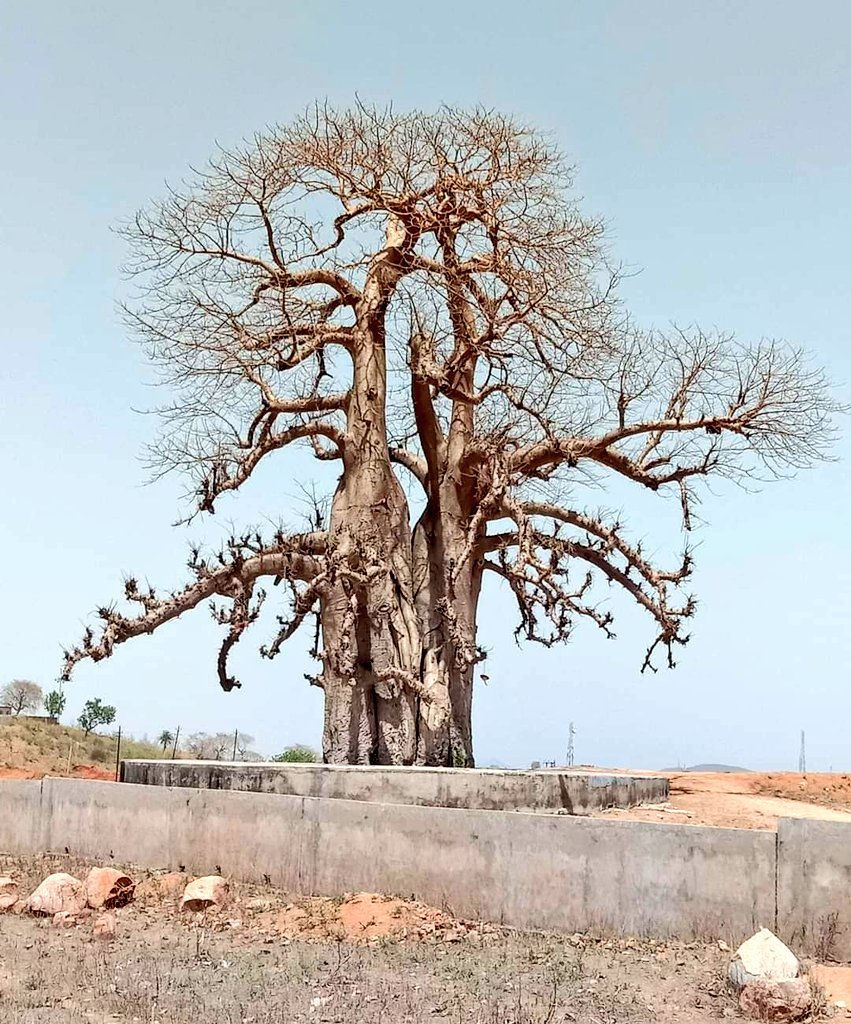 Pankaj welder in parichaa jhansi.
