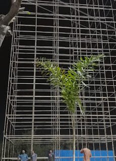 Rajputana Scaffolding Rent Contractor in indore, Madhya Pradesh