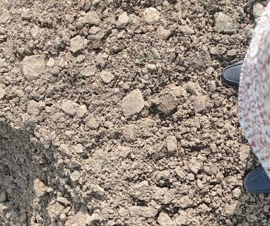 Shree Balaji Traders Building Material Suppliers in Indore, Madhya Pradesh