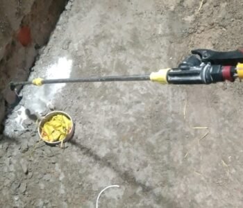 Aakash - Pest Control for Residential & Commercial, Best Pest Control Service in Ghaziabad, Uttar Pradesh