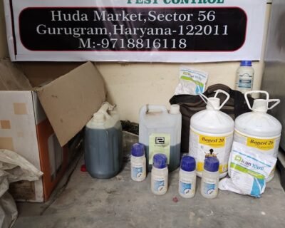 Agro-Pest-Control-for-Residential-Commercial-Best-Pest-Control-Service-in-Gurugram-Haryana-1