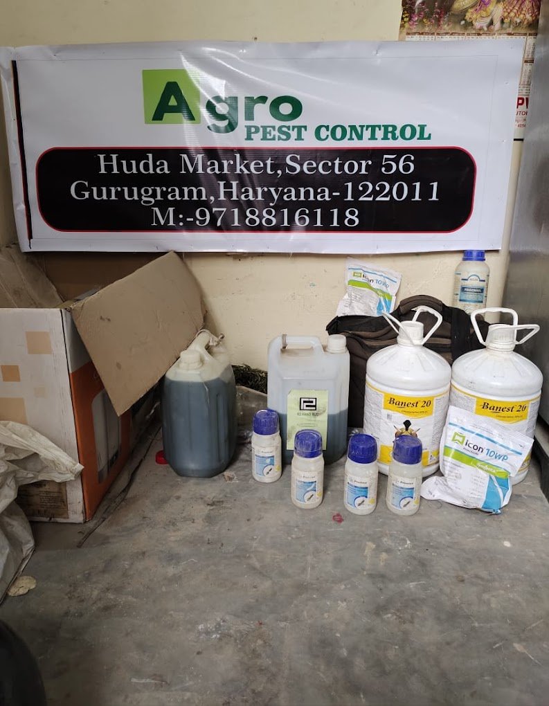 Agro – Pest Control for Residential & Commercial, Best Pest Control Service in Gurugram, Haryana