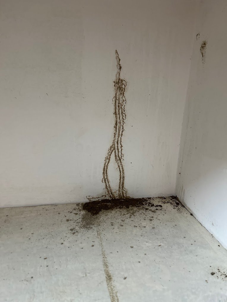 Agro – Pest Control for Residential & Commercial, Best Pest Control Service in Gurugram, Haryana