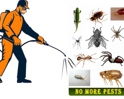 Agro – Pest Control for Residential & Commercial, Best Pest Control Service in Gurugram, Haryana