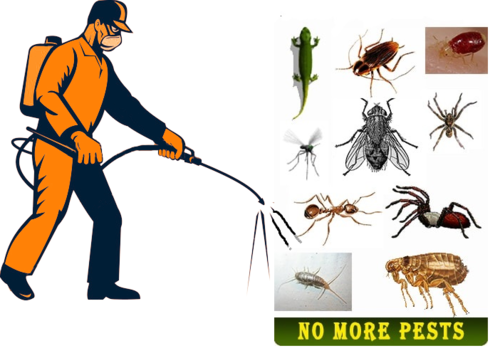 Agro – Pest Control for Residential & Commercial, Best Pest Control Service in Gurugram, Haryana