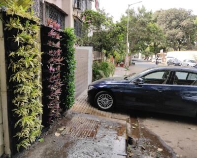 ApnaMali Gardening Services – Online Gardeners in Mumbai, Maharashtra