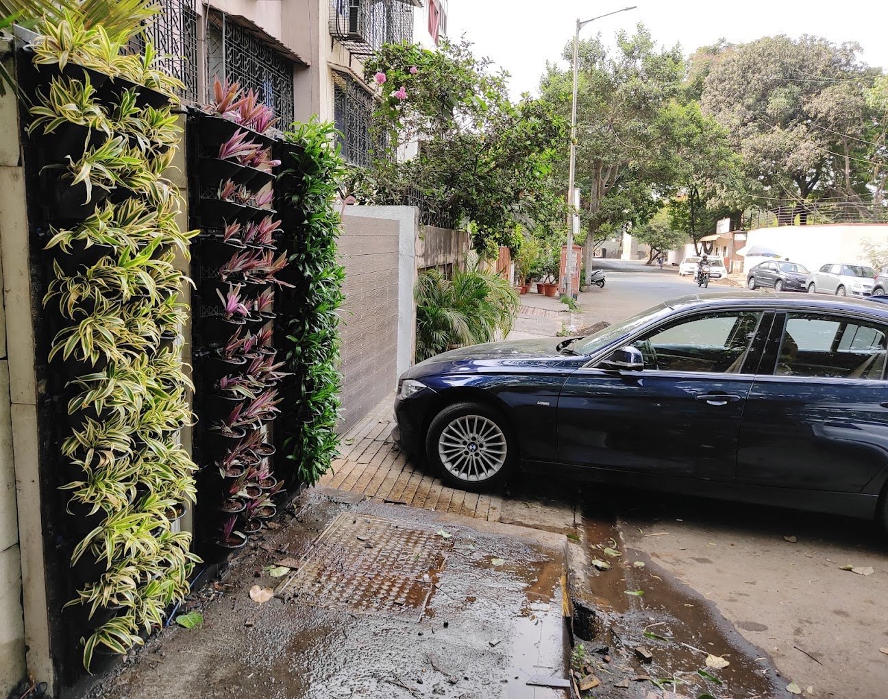 ApnaMali Gardening Services – Online Gardeners in Mumbai, Maharashtra