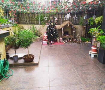 ApnaMali Gardening Services - Online Gardeners in Mumbai, Maharashtra