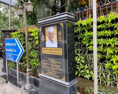 ApnaMali Gardening Services – Online Gardeners in Mumbai, Maharashtra