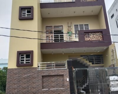 Asif House Painter in Rohtak, Haryana