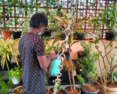 Chennai-Terrace-Gardener-online-in-Chennai-Tamil-Nadu-laber.in_