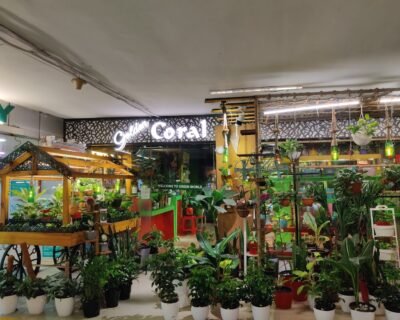 Coral Homes – Artificial plants, Garden service, Plant Nursery, Landscape Designer – Online Gardeners in Kochi, Kerala