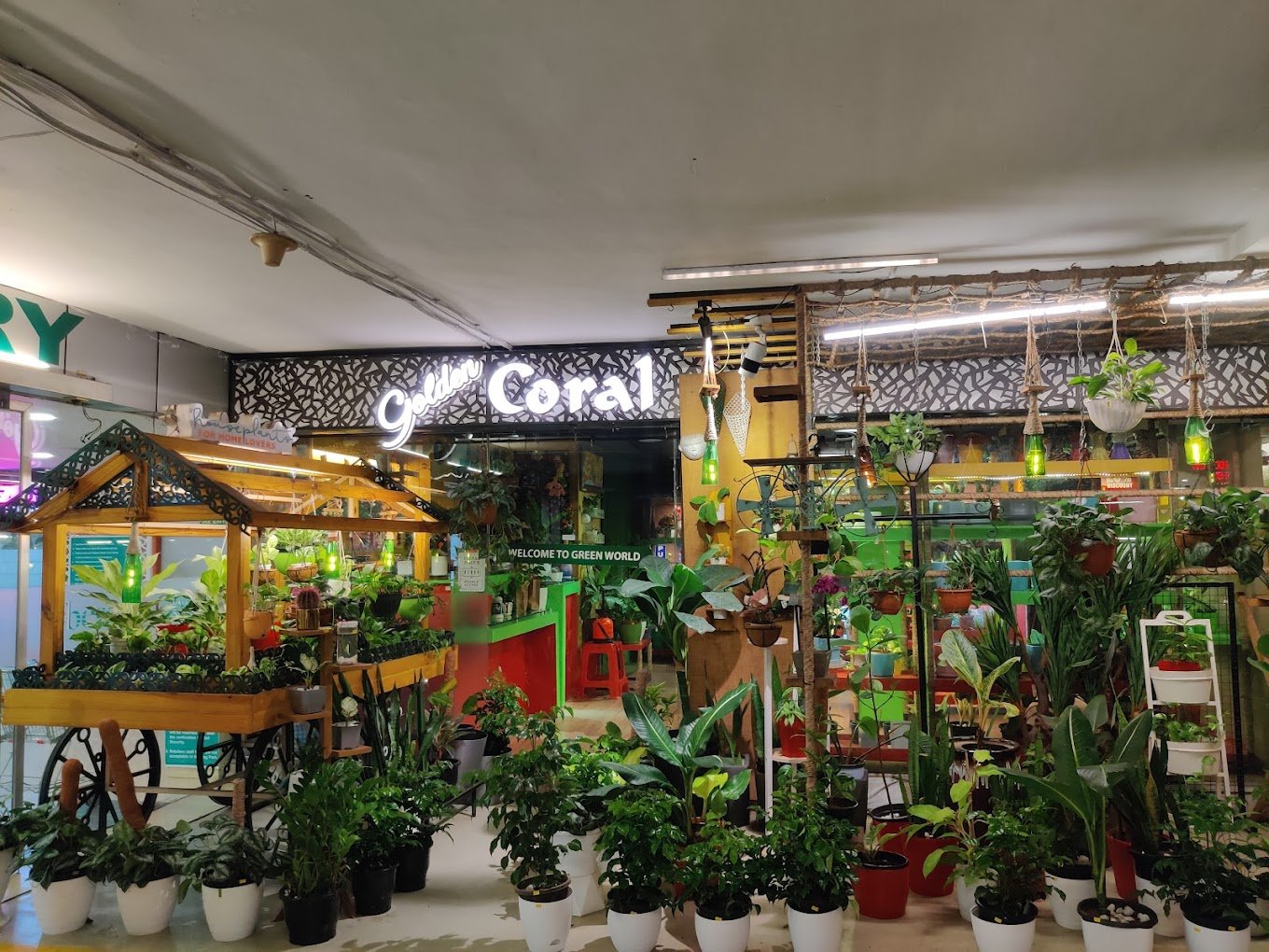 Coral Homes – Artificial plants, Garden service, Plant Nursery, Landscape Designer – Online Gardeners in Kochi, Kerala