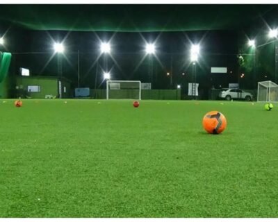 Coral Homes – Artificial plants, Garden service, Plant Nursery, Landscape Designer – Online Gardeners in Kochi, Kerala