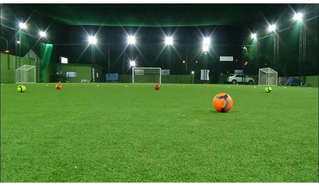 Coral Homes – Artificial plants, Garden service, Plant Nursery, Landscape Designer – Online Gardeners in Kochi, Kerala