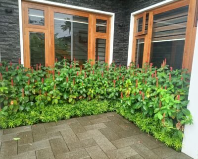 Coral Homes – Artificial plants, Garden service, Plant Nursery, Landscape Designer – Online Gardeners in Kochi, Kerala