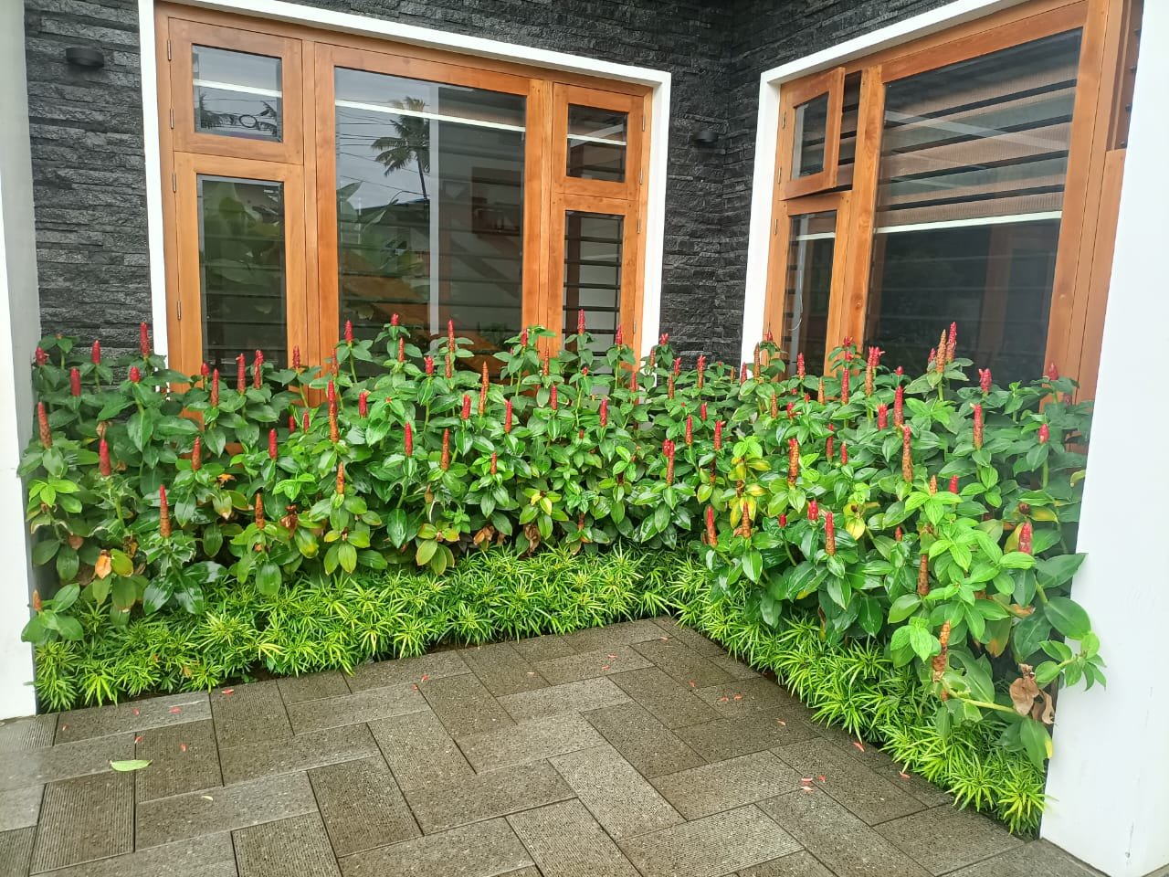 Coral Homes – Artificial plants, Garden service, Plant Nursery, Landscape Designer – Online Gardeners in Kochi, Kerala