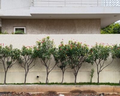 Daksha – Online Gardeners in Coimbatore, Tamil Nadu