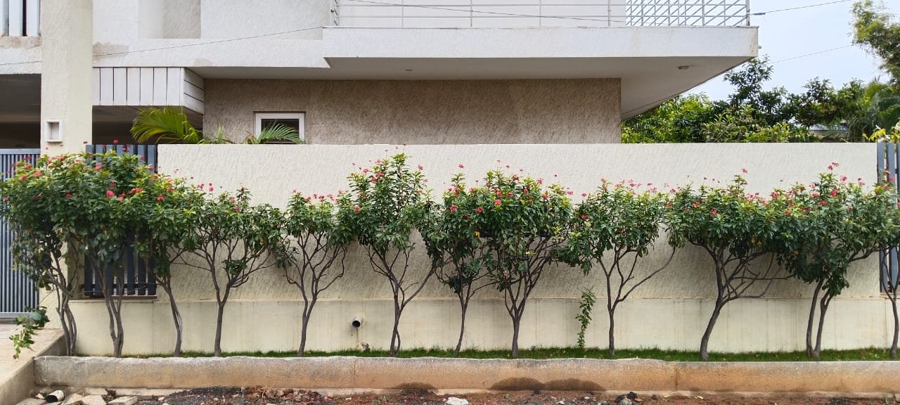 Daksha – Online Gardeners in Coimbatore, Tamil Nadu