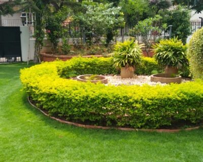 Daksha – Online Gardeners in Coimbatore, Tamil Nadu