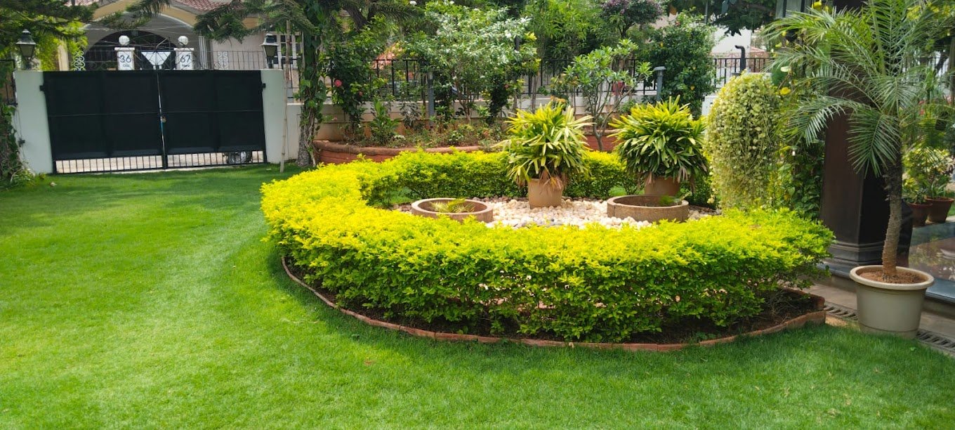 Daksha – Online Gardeners in Coimbatore, Tamil Nadu