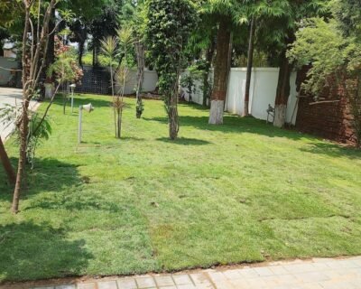 Deep Green Natural Decoration House – Online Landscape Gardeners in Patna, Bihar
