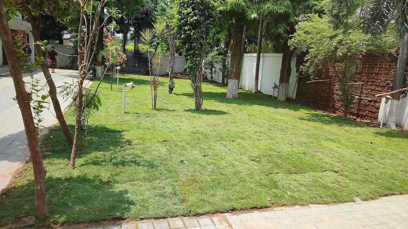 Deep Green Natural Decoration House – Online Landscape Gardeners in Patna, Bihar