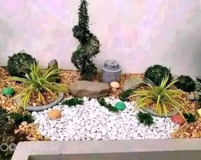 Deep Green Natural Decoration House – Online Landscape Gardeners in Patna, Bihar