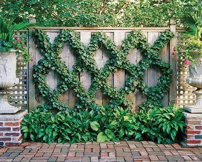 Deep Green Natural Decoration House – Online Landscape Gardeners in Patna, Bihar