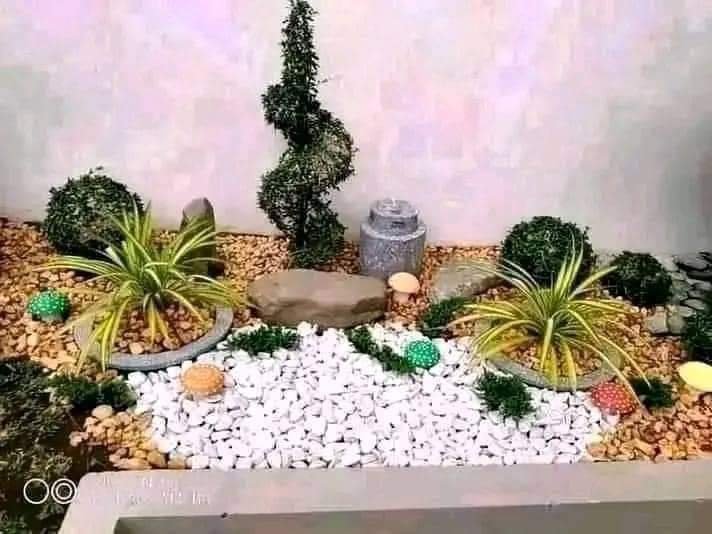 Deep Green Natural Decoration House – Online Landscape Gardeners in Patna, Bihar