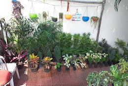 Deep Nursery – Online Gardeners in Nagpur, Maharashtra