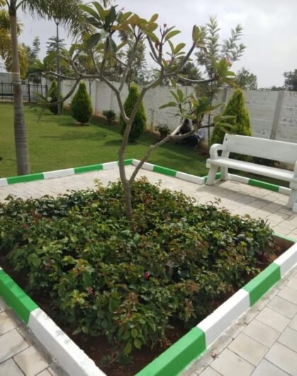 Domestic Jungle – Online Landscape Gardeners in Chandigarh