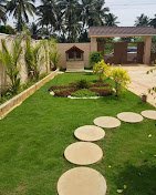 Domestic Jungle – Online Landscape Gardeners in Chandigarh