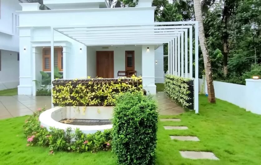 Domestic Jungle – Online Landscape Gardeners in Chandigarh