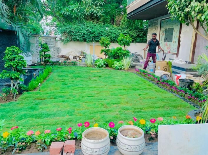 Domestic Jungle – Online Landscape Gardeners in Chandigarh