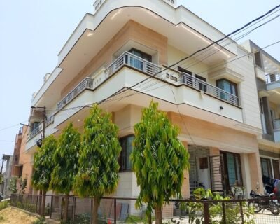 Era House Painter in Moradabad, Uttar Pradesh