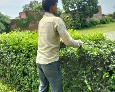 Garden Care – Garden service, Plant Nursery, Landscape Designer – Online Gardeners in Lucknow