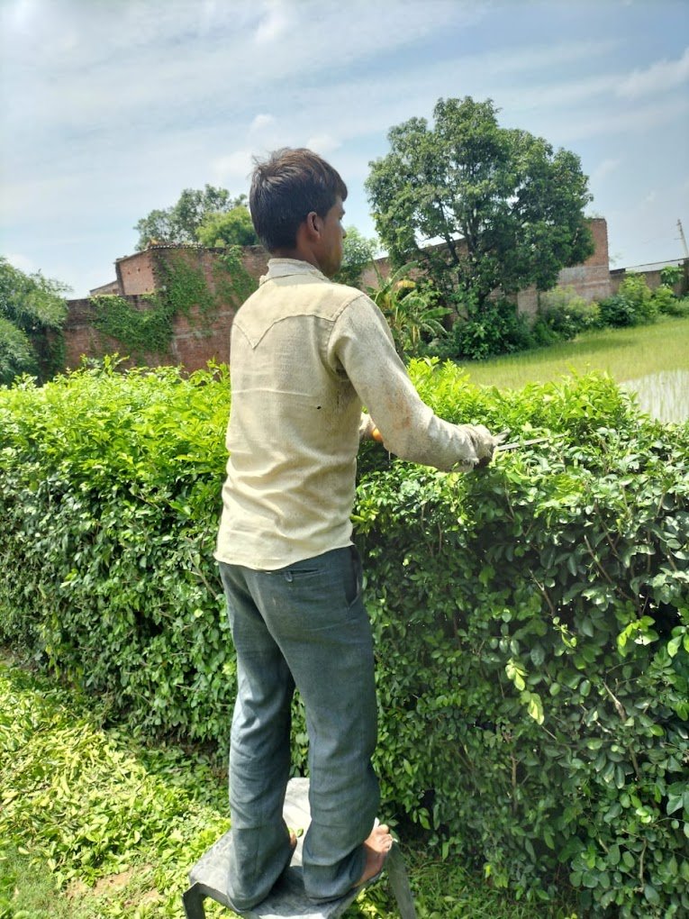 Garden Care – Garden service, Plant Nursery, Landscape Designer – Online Gardeners in Lucknow