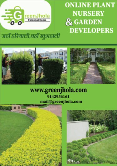Greenjhola Plant Nursery, Garden Developer Service, – Online Gardeners in Muzaffarpur, Bihar