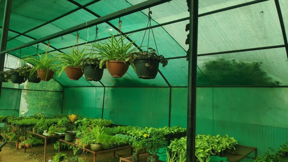 Greenspace Gardening Services – Online Gardeners in Pune, Maharashtra