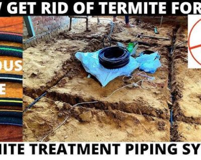 Jay jalaram – Pest Control for Residential & Commercial, Best Pest Control Service in Vadodara, Gujarat