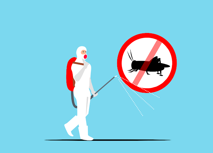 Kastbhanjan – Pest Control for Residential & Commercial, Best Pest Control Service in Surat, Gujarat