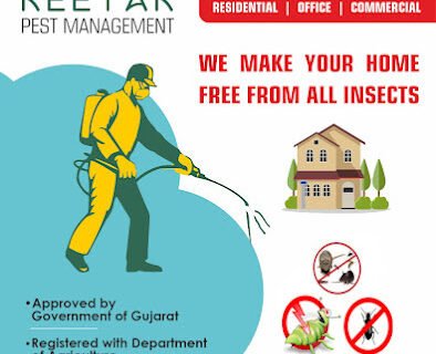 Keetak – Pest Control for Residential & Commercial, Best Pest Control Service in Ahmedabad, Gujarat