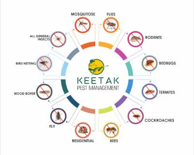 Keetak – Pest Control for Residential & Commercial, Best Pest Control Service in Ahmedabad, Gujarat