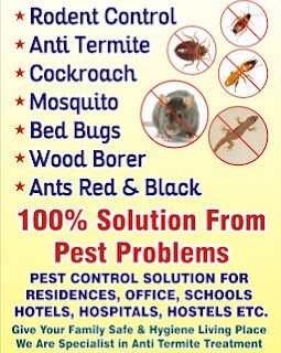 Maruti – Pest Control for Residential & Commercial, Best Pest Control Service in New Delhi, Delhi