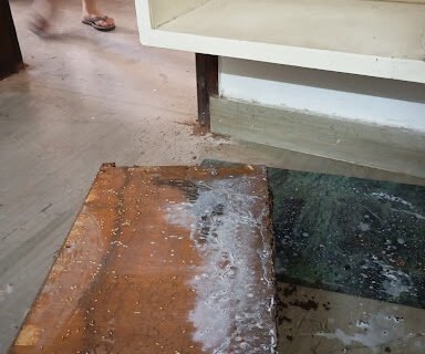 Maruti – Pest Control for Residential & Commercial, Best Pest Control Service in New Delhi, Delhi