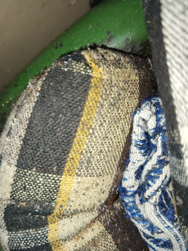 Master – Pest Control for Residential & Commercial, Best Pest Control Service in Pune, Maharashtra