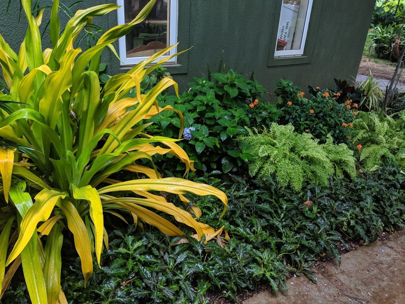 Mr Farmer – Garden service, Plant Nursery, Landscape Designer – Online Gardeners in North Goa