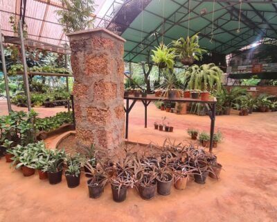 Mr Farmer – Garden service, Plant Nursery, Landscape Designer – Online Gardeners in North Goa