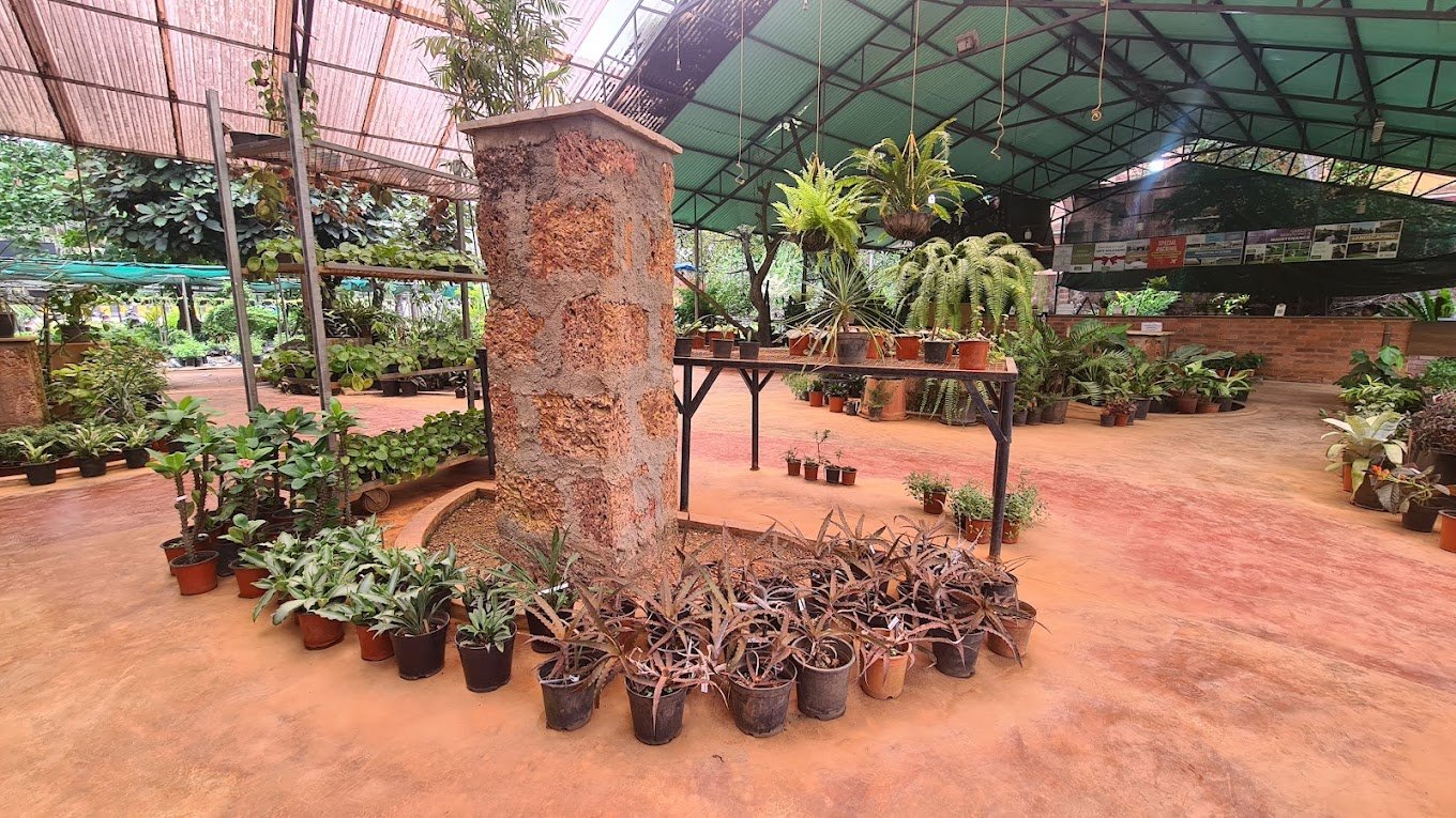 Mr Farmer – Garden service, Plant Nursery, Landscape Designer – Online Gardeners in North Goa